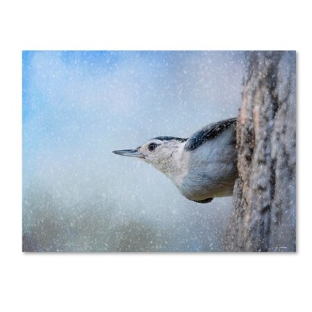Trademark Fine Art